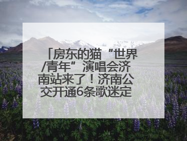 房东的猫“世界/青年”演唱会济南站来了！济南公交开通6条歌迷定制专线